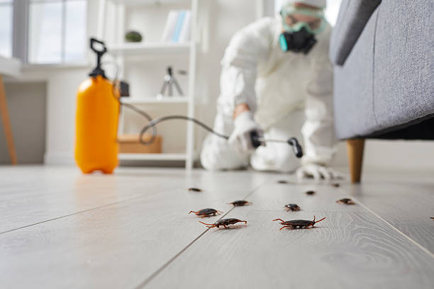 Commercial Kitchen Cockroach Control in Sutter